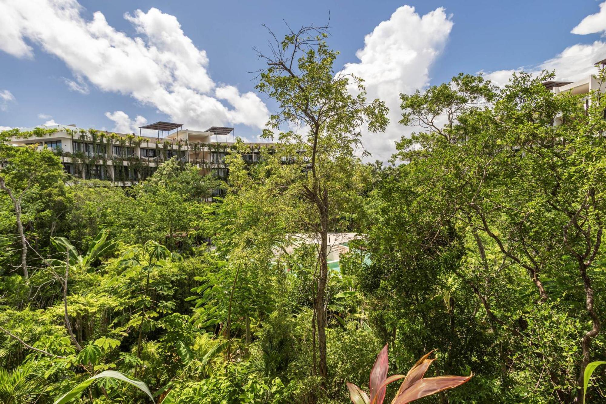 Apartment Cozy In The Jungle, Balcony And Pool View *